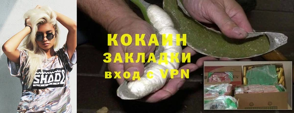 сатива Богданович