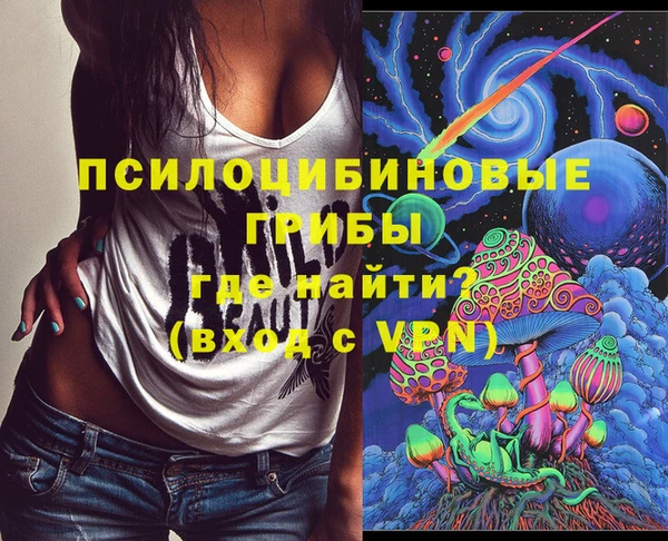 сатива Богданович