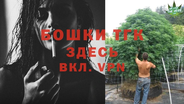 сатива Богданович