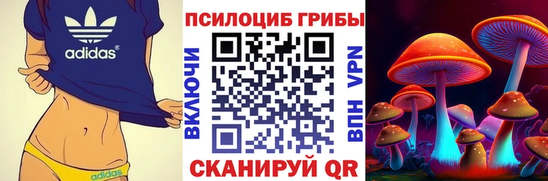 Галлюциногенные грибы GOLDEN TEACHER  Купить закладки  Королёв 
