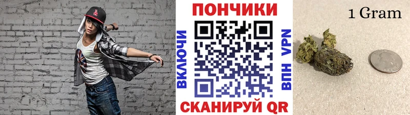 Бошки марихуана марихуана  Купить закладки  Королёв 